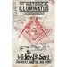 The Widow's Son: Historical Illuminatus Chronicles Volume 2