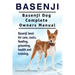 Basenji. Basenji Dog Complete Owners Manual. Basenji book for care, costs, feeding, grooming, health and training.