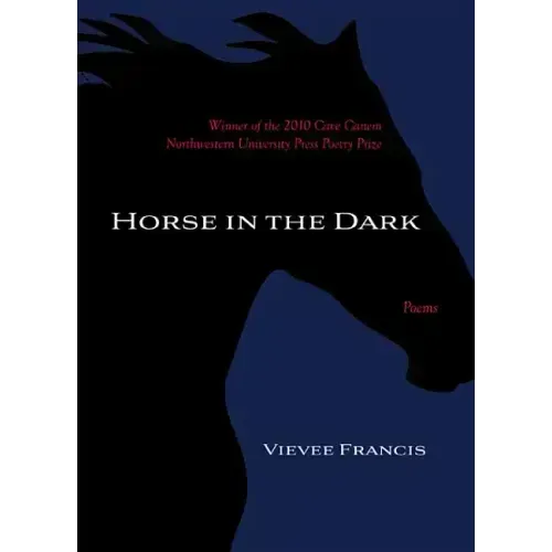 Horse in the Dark