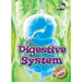 The Digestive System