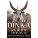 The Dinka A Nilotic Lifecycle