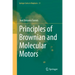 Principles of Brownian and Molecular Motors