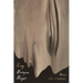 Rag