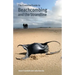 The Essential Guide to Beachcombing and the Strandline