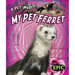 My Pet Ferret