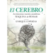 Cerebro, El