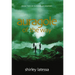 Auragole of the Way: Book Two of Aurogole's Journey Volume 2