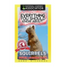 Everything You Should Know About: Squirrels