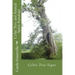 Celtic Tree and Animal Spirit Astrology: Celtic Tree Signs