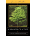 A Branch of a Tree