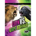 Lion vs. Cape Buffalo