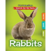 Rabbits