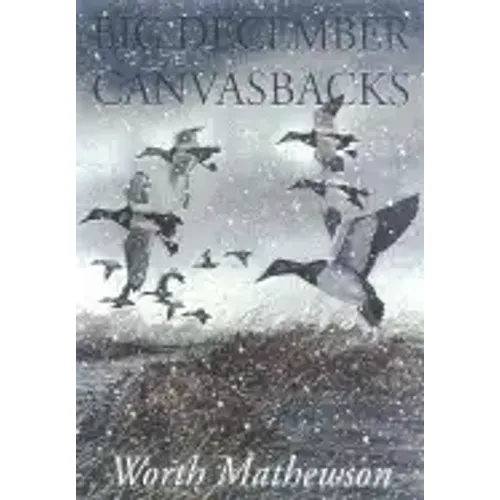 Big December Canvasbacks, Revised
