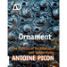 Ornament: The Politics of Architecture and Subjectivity