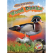 Wood Ducks