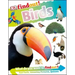 Dkfindout! Birds
