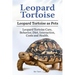 Leopard Tortoise. Leopard Tortoise as Pets. Leopard Tortoise Care, Behavior, Diet, Interaction, Costs and Health.