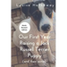 Our First Year Raising A Jack Russell Terrier (and then some)