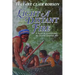 Light a Distant Fire: A Novel of Osceola and the Second Seminole War