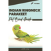 Indian Ringneck Parakeet: Pet bird guide