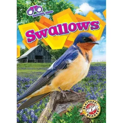 Swallows