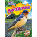 Swallows