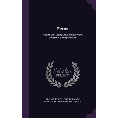 Ferns: Asplenium, Diplazium, Hemidictyum, Ceterach, Scolopendrium