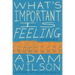 What's Important Is Feeling