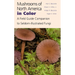 Mushrooms of North America in Color: A Field Guide Companion to Seldom-Illustrated Fungi