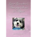 Great Grandma's Amazing Stories and Rhymes