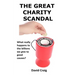 The Great Charity Scandal: What Really Happens to the Billions We Give to Good Causes?