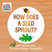 How Does a Seed Sprout?: Life Cycles with the Very Hungry Caterpillar