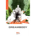 Dreambody: The Body's Role in Healing the Self