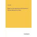 Report on the Importance and Economy of Sanitary Measures to Cities