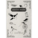 Counting Magpies: Counting Magpies is Alexandra's second anthology. It is based on, 'One for Sorrow', the popular children's nursery rhy
