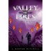 Valley of Fires