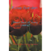 Rose Garden