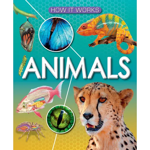 Animals