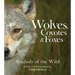 Wolves, Coyotes & Foxes: Symbols of the Wild