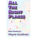 All the Right Places: Short Stories by Wayne Goodman