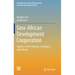 Sino-African Development Cooperation: Studies on the Theories, Strategies, and Policies
