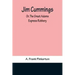 Jim Cummings; Or, The Great Adams Express Robbery