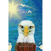 The Adventures of Troy the Bald Eagle