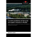Current problems of the pulp and paper industry in Russia