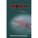 Red Kayak