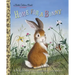 Home for a Bunny: A Classic Bunny Book for Kids