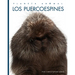 Los Puercoespines