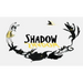 Shadow