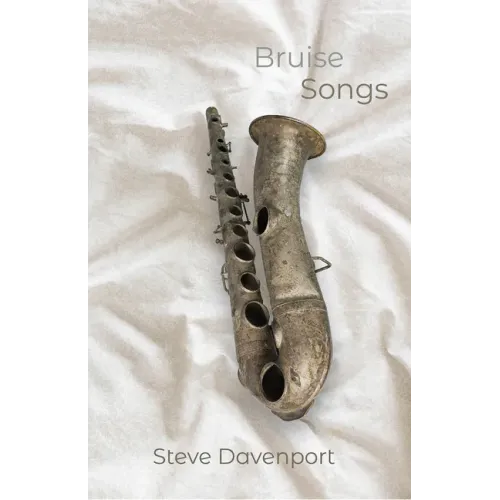 Bruise Songs