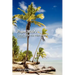 Papa Mike's Cook Islands Handbook Second Edition